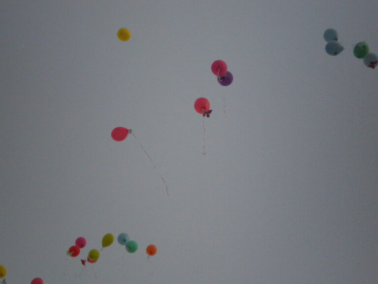 15 ottobre 2008, Prato, foto 13